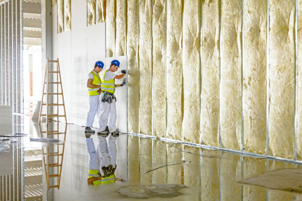Best Blown-in Insulation  in Watervliet, MI